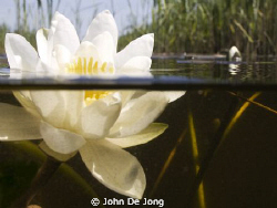 I made some pipes on my underwaterhousing to make half/ha... by John De Jong 
